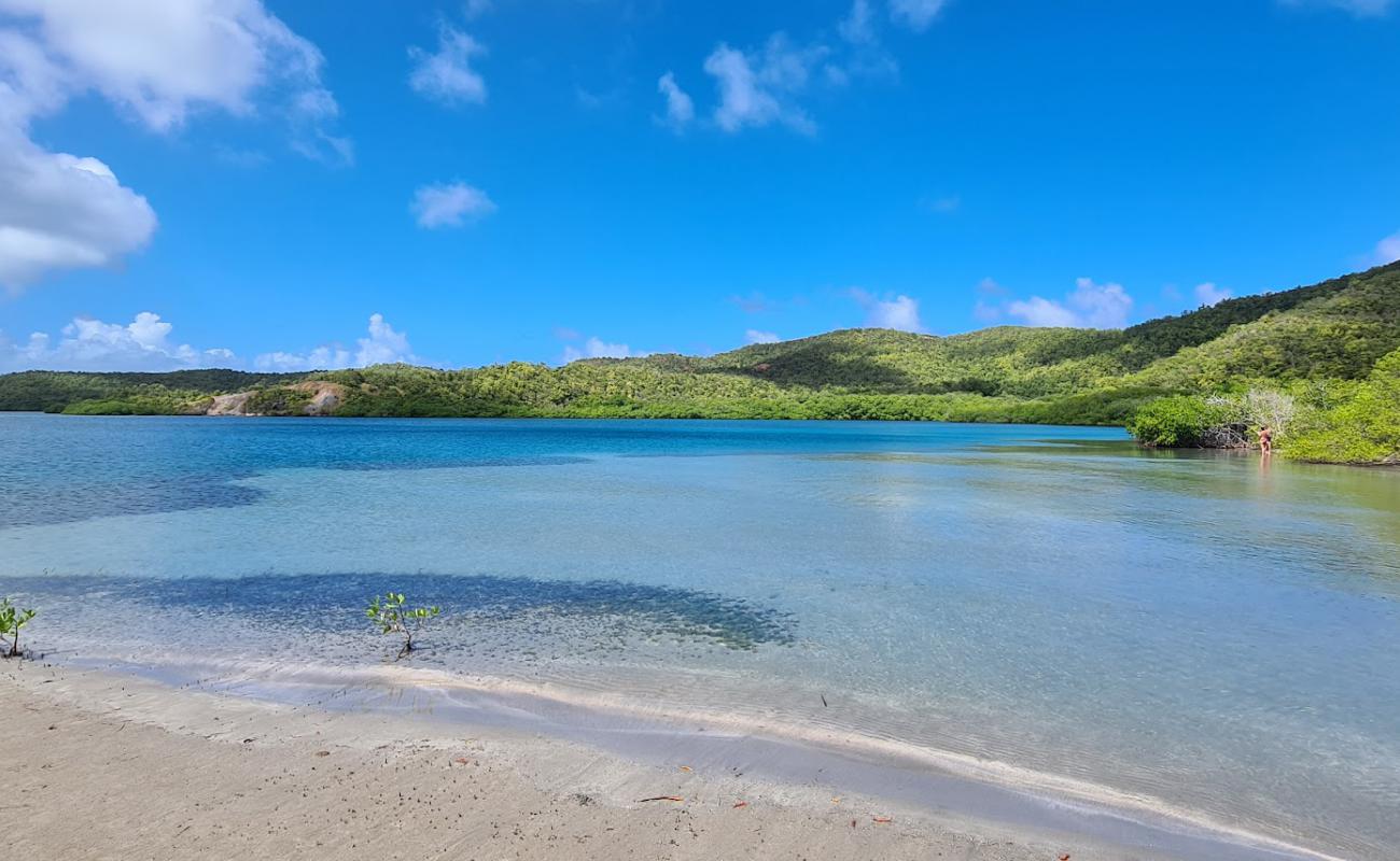 Photo de Plage Mangrove avec sable lumineux de surface