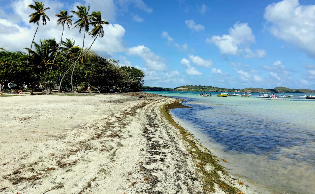 Photo de Pointe Faula avec sable beige de surface