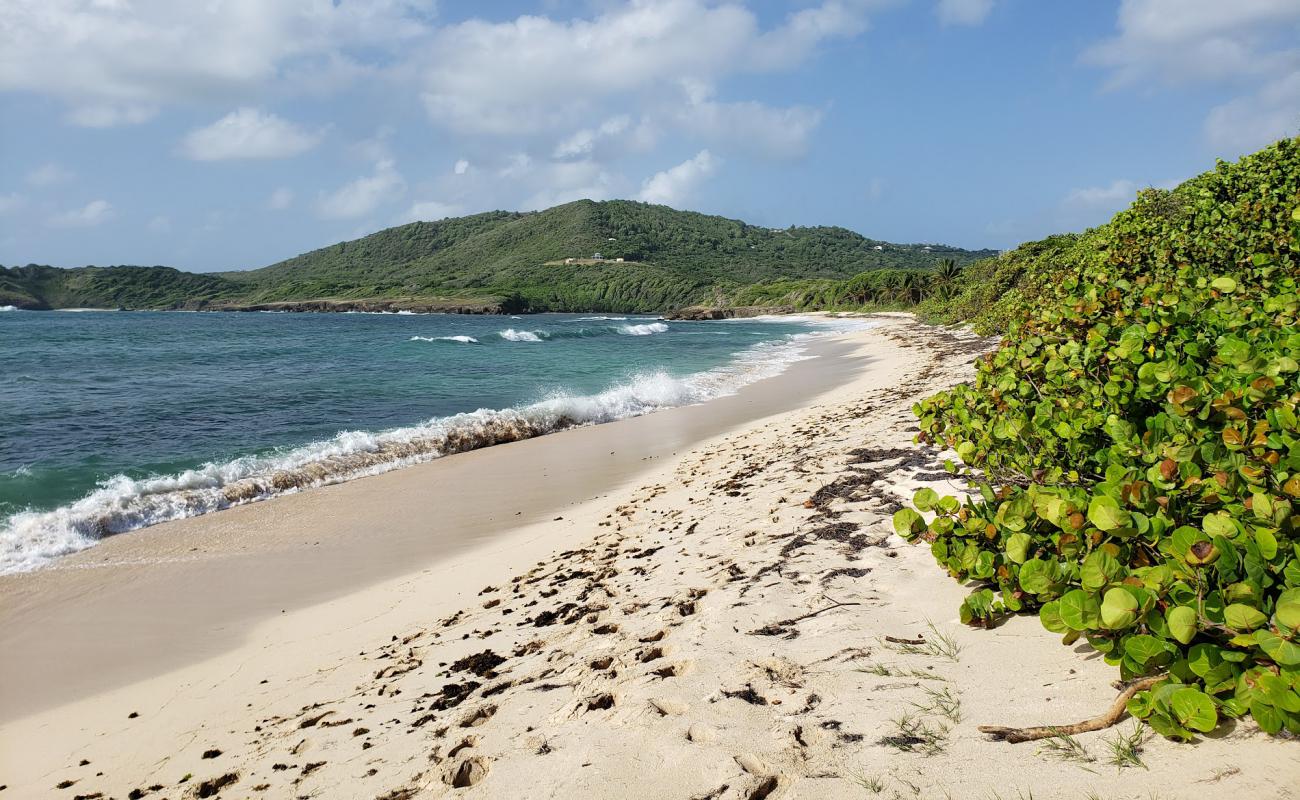 Photo de Plage de Cap Macré avec petits galets beige de surface