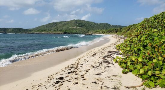 Plage de Cap Macré