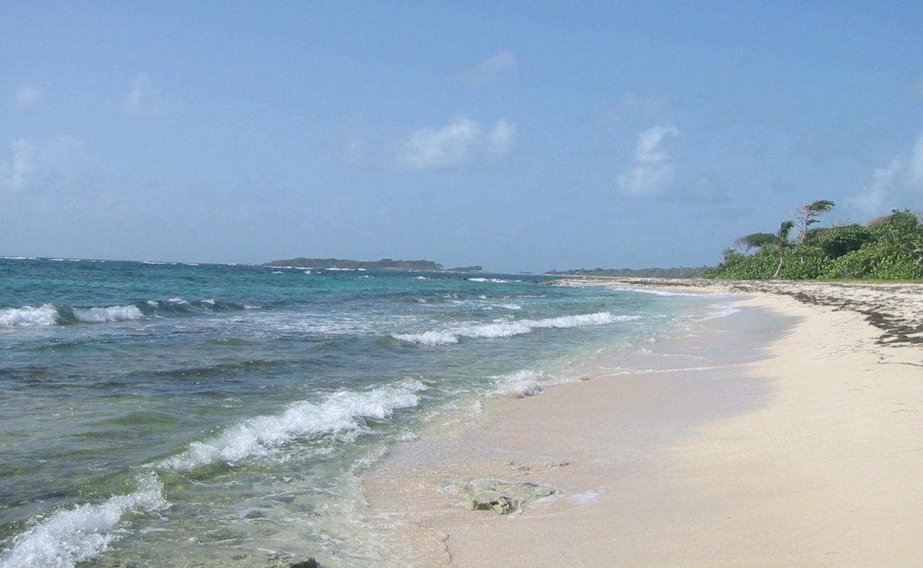 Photo de Anse Baleine beach avec sable beige & pierres de surface