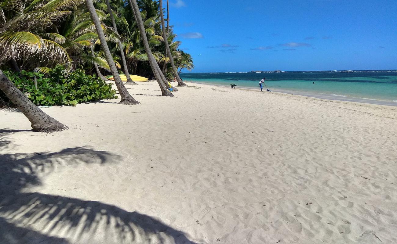 Photo de Anse Michel beach avec sable coquillier lumineux de surface