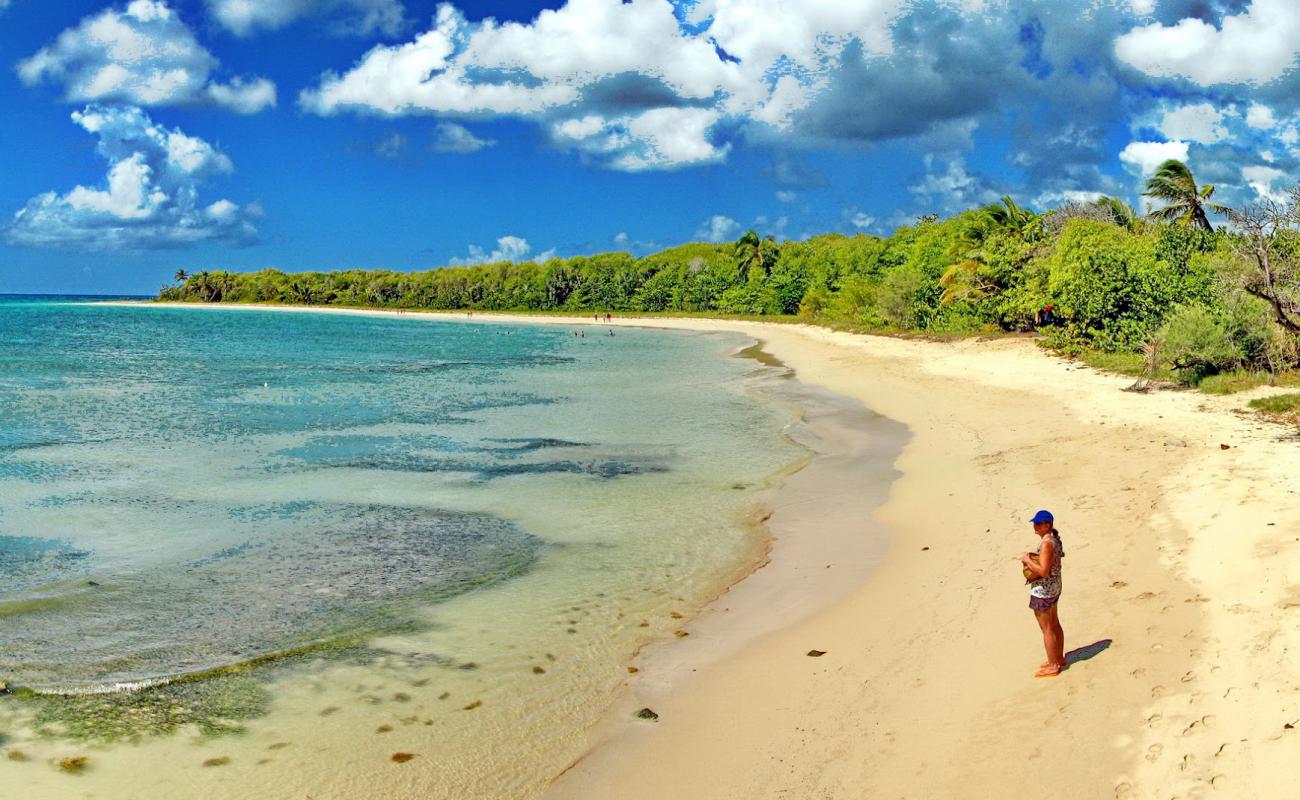 Photo de Grande terre beach avec sable fin et lumineux de surface