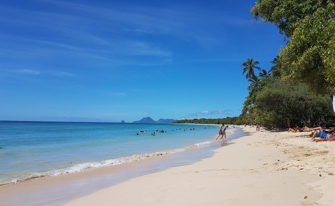 Photo de Plage des Salines avec sable lumineux de surface