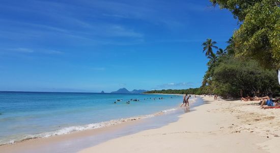 Plage des Salines