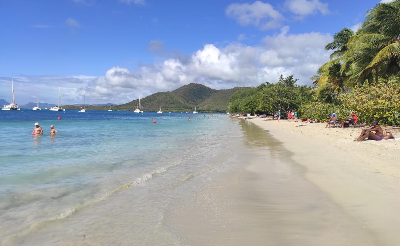 Photo de Plage de Sainte-Anne avec sable beige fin de surface