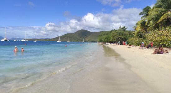 Plage de Sainte-Anne