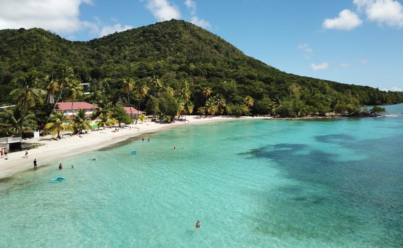 Photo de Plage de l'Anse Figuier avec sable beige de surface