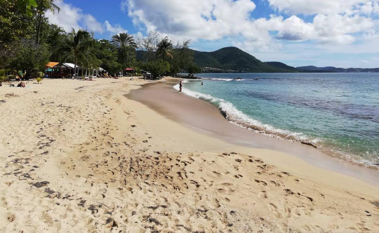 Photo de Gros raisins beach avec sable beige de surface