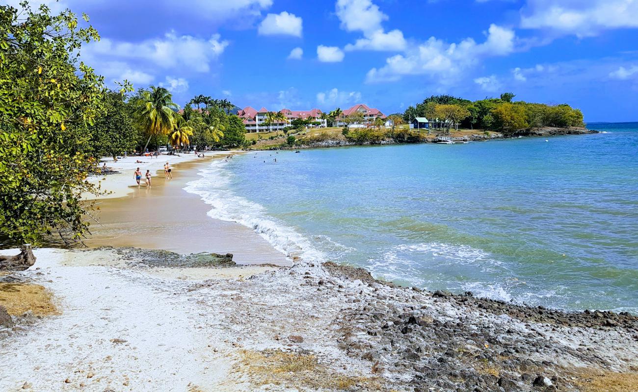 Photo de Plage de Pont Café avec sable beige fin de surface