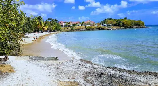 Plage de Pont Café