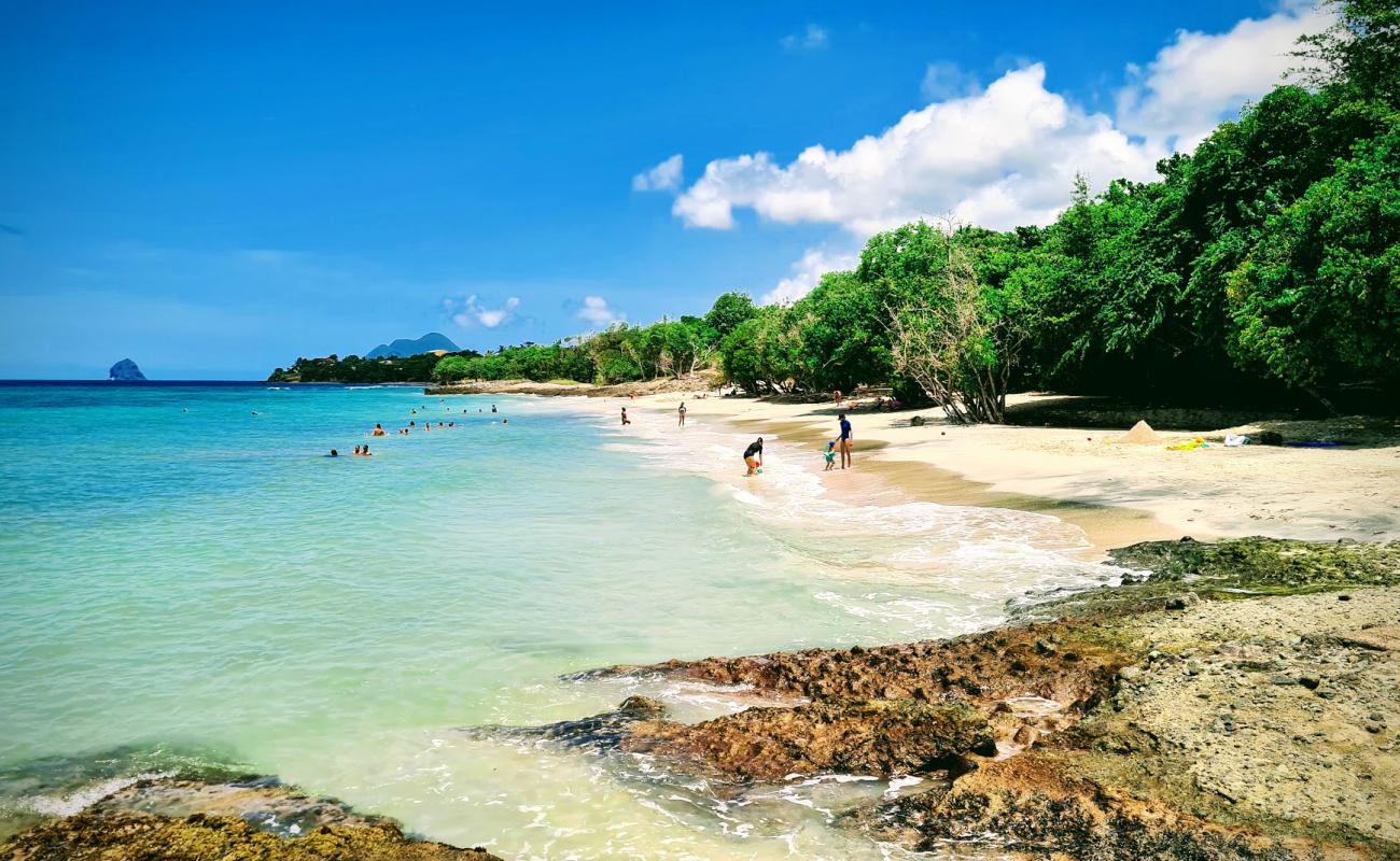 Photo de Plage de Sainte Luce avec sable beige de surface
