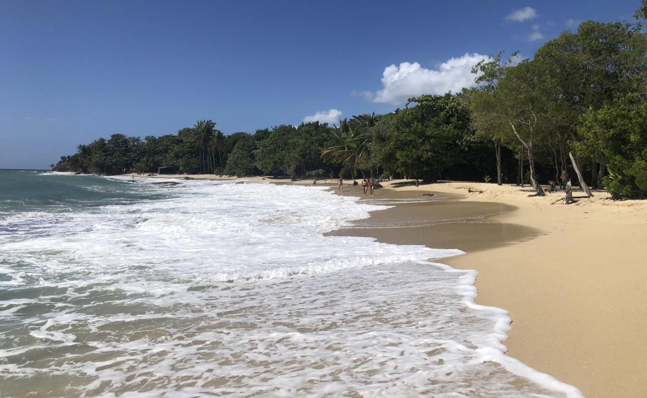 Photo de Plage Anse désert avec sable beige fin de surface