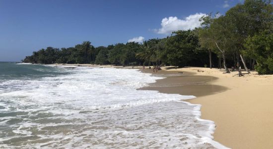 Plage Anse désert