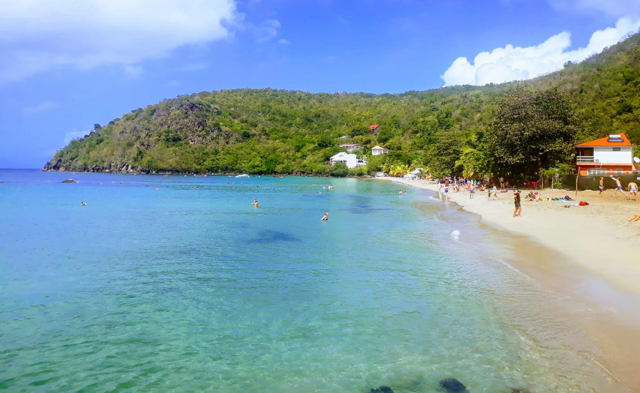 Photo de Plage du Bourg avec sable beige fin de surface