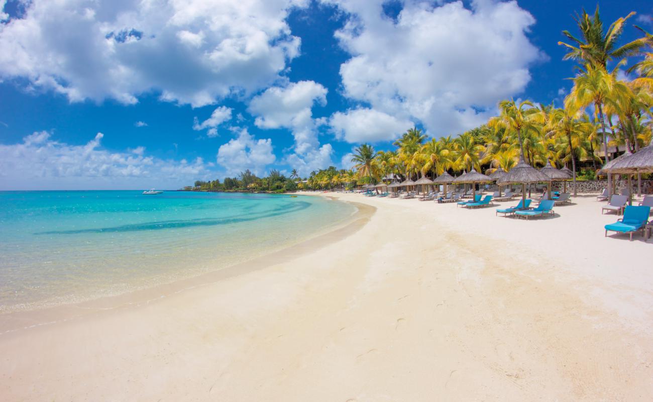 Photo de Royal Palm Resort avec sable beige de surface