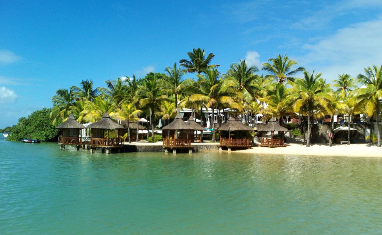 Photo de Paradise Cove Beach avec sable blanc de surface