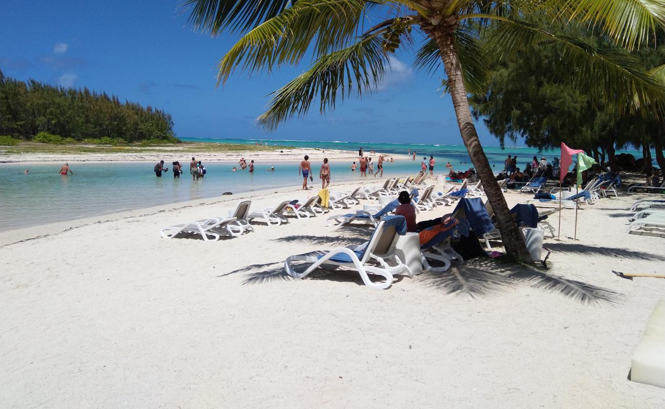 Photo de Ile aux Cerfs Beach avec sable blanc de surface