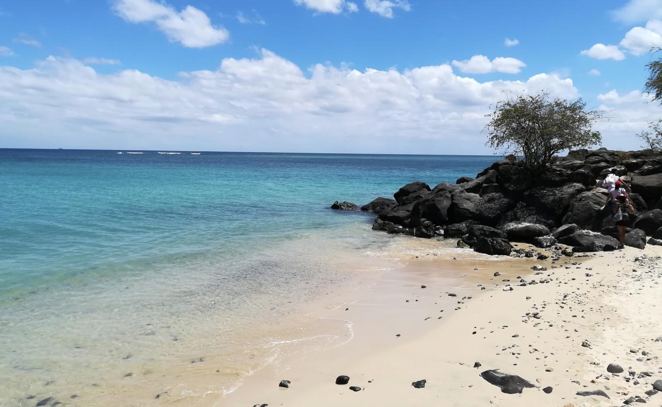 Photo de The Point Beach avec sable beige de surface