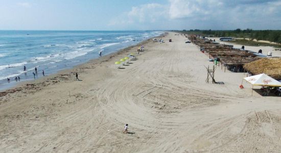 Playa De Tamiahua