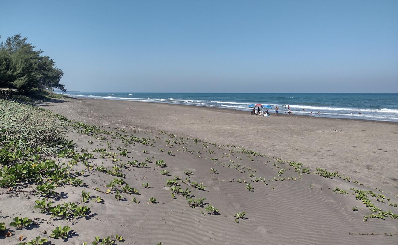 Photo de Playa Los Pinos avec sable beige de surface