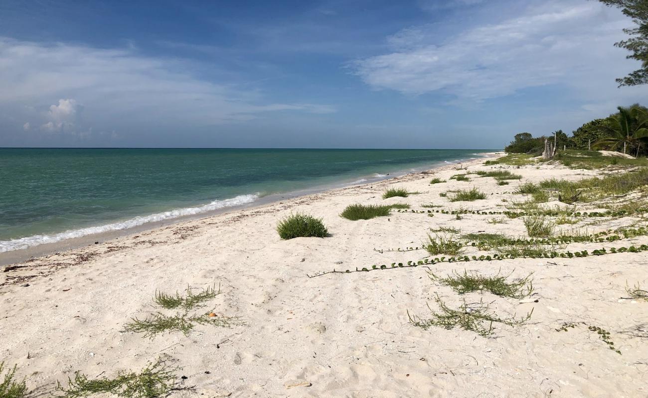 Photo de Faro El Palmar avec sable beige de surface