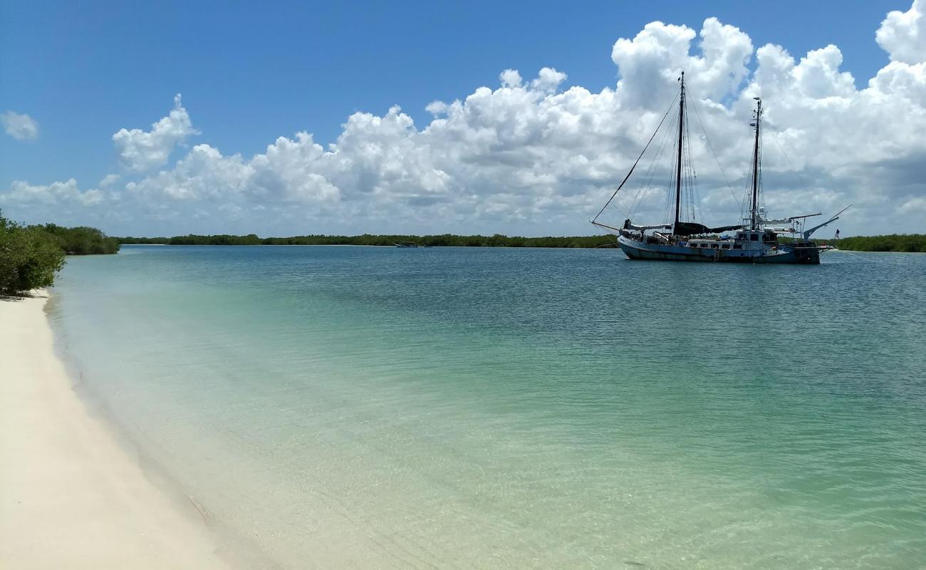 Photo de Playa Rio Lagartos avec sable beige fin de surface