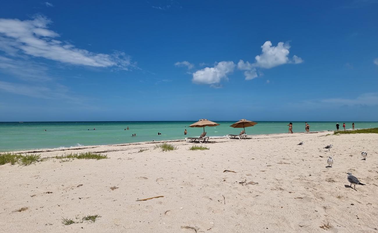 Photo de Cancunito beach avec sable beige de surface
