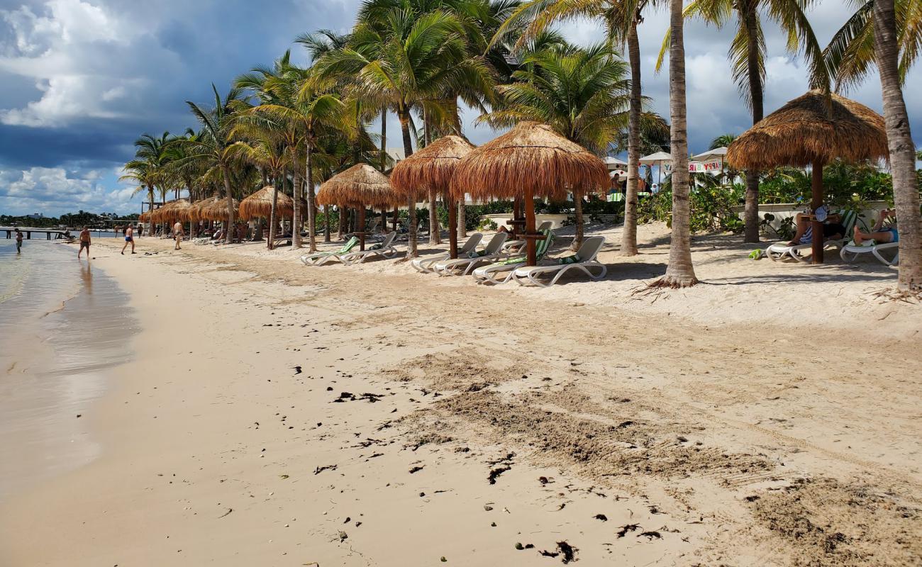 Photo de Hyatt Ziva Riviera Cancun avec sable beige de surface