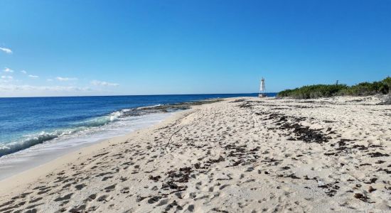 Playa Punta Brava