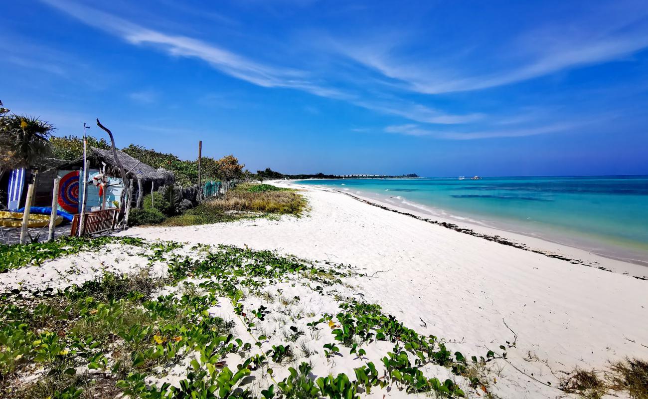 Photo de Playa Punta Esmeralda avec sable beige fin de surface