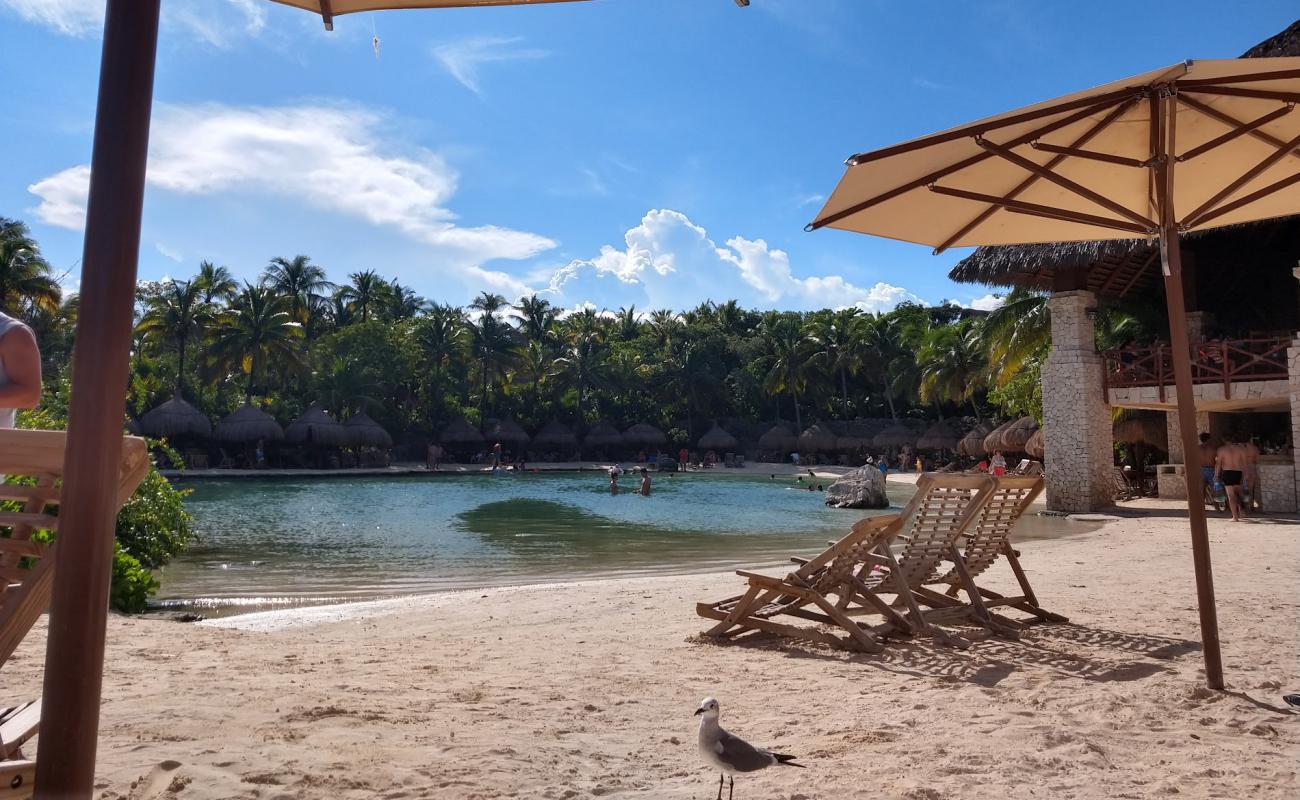 Photo de Delphinus Xcaret beach avec sable lumineux de surface