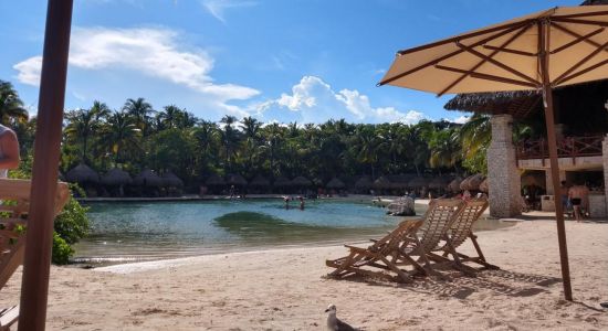 Delphinus Xcaret beach