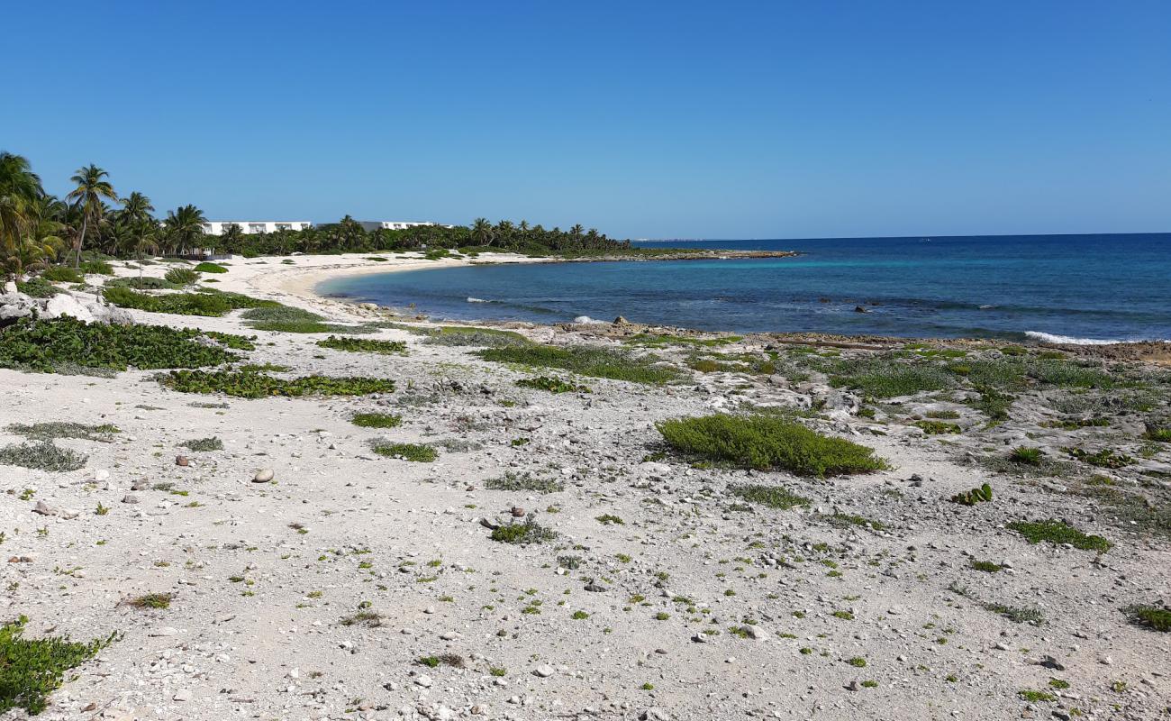 Photo de Santa Martha beach avec sable beige de surface