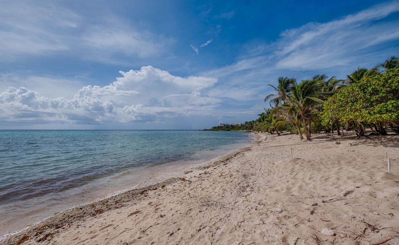 Photo de Playa Akumal II avec sable beige de surface