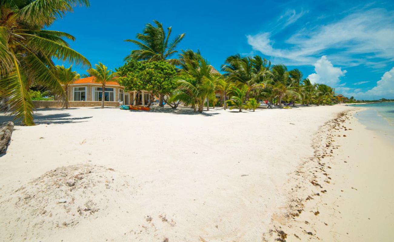 Photo de Casa Cenote beach avec sable beige fin de surface