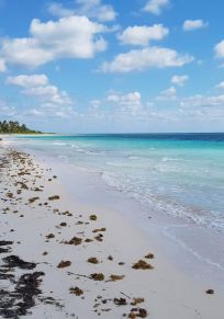 Punta Allen