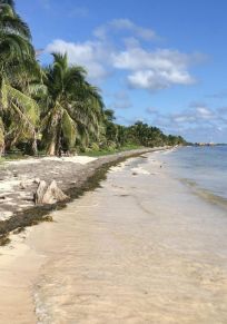 Mahahual