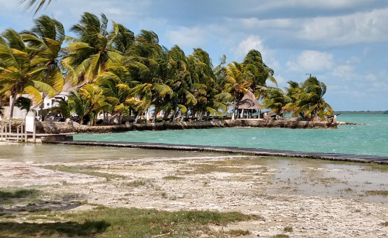 Photo de Calderitas beach avec sable gris avec roches de surface