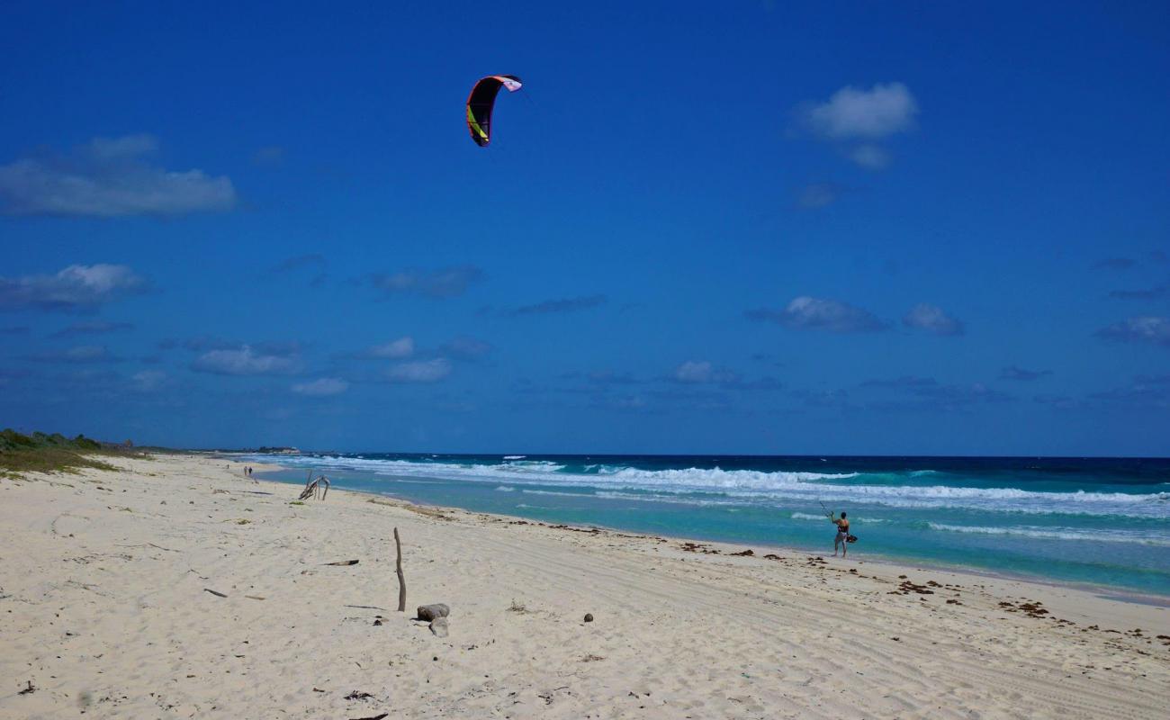 Photo de Playa Punta Norte avec sable fin et lumineux de surface