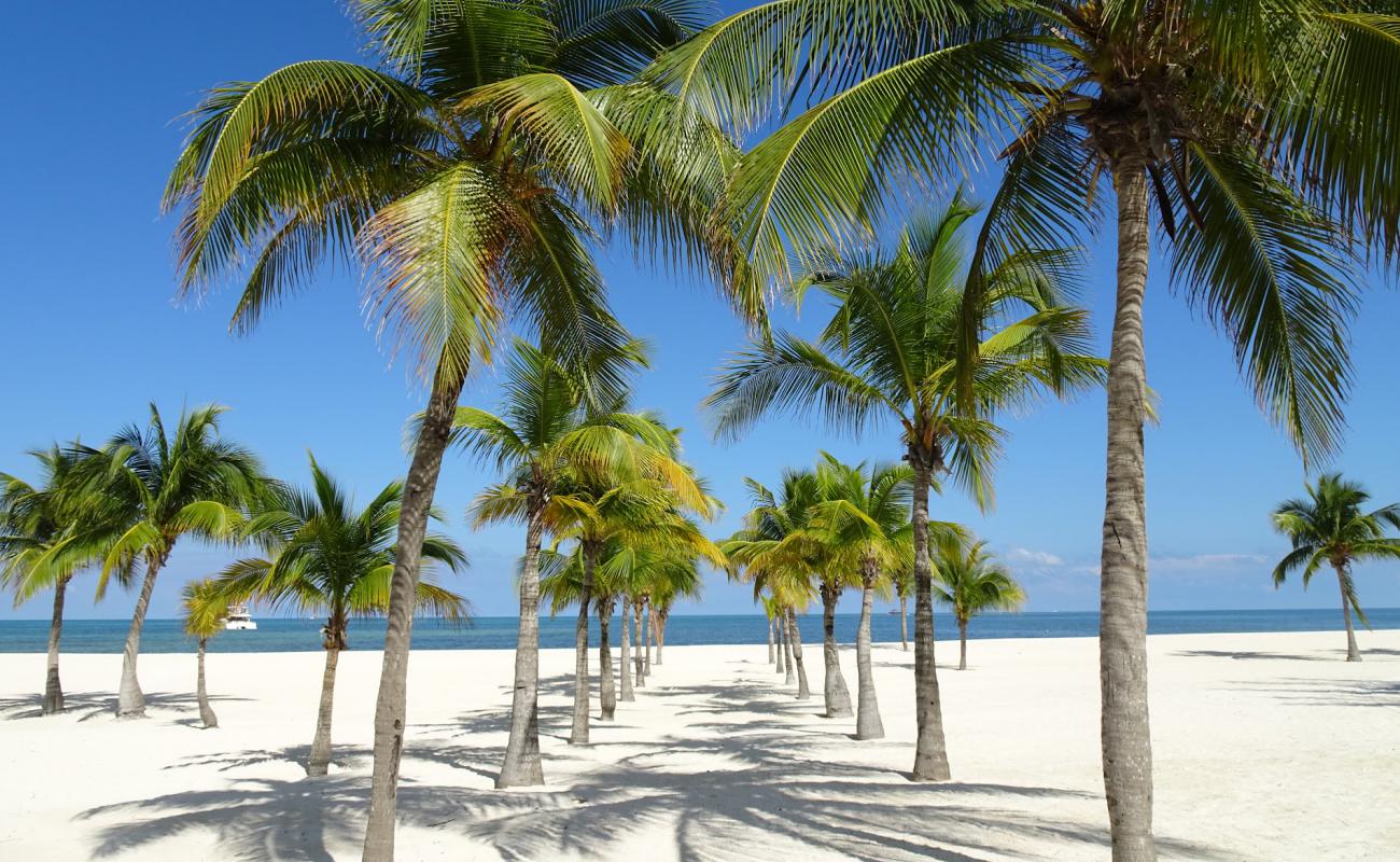Photo de Isla de Pasion avec sable fin blanc de surface