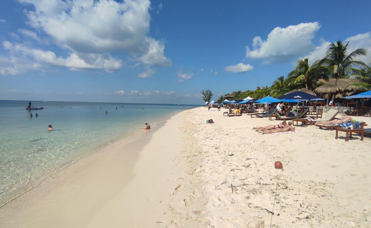 Photo de Playa Palancar avec sable fin et lumineux de surface