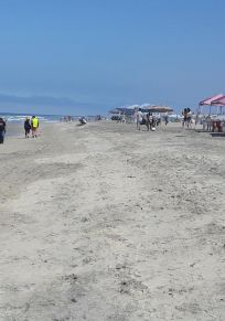 Rosarito