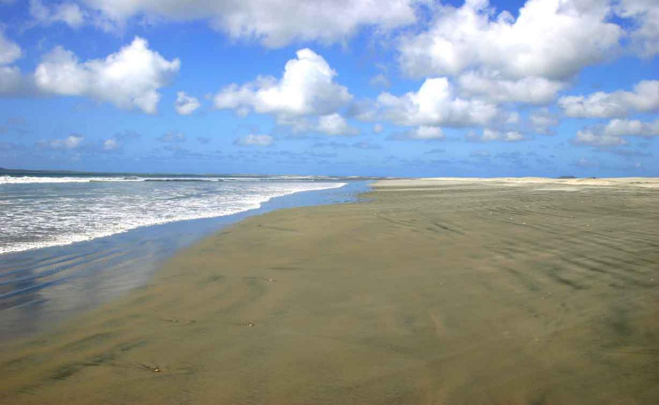 Photo de Playa El Pabellon avec sable fin brun de surface