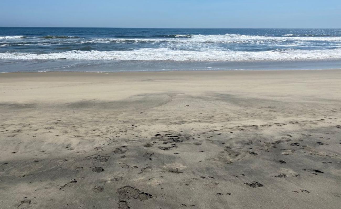 Photo de El Cunano beach avec sable fin brun de surface