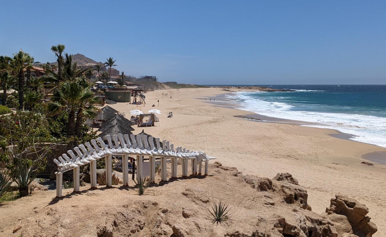 Photo de Playa Sheraton los Cabos avec sable fin et lumineux de surface