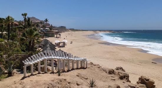 Playa Sheraton los Cabos