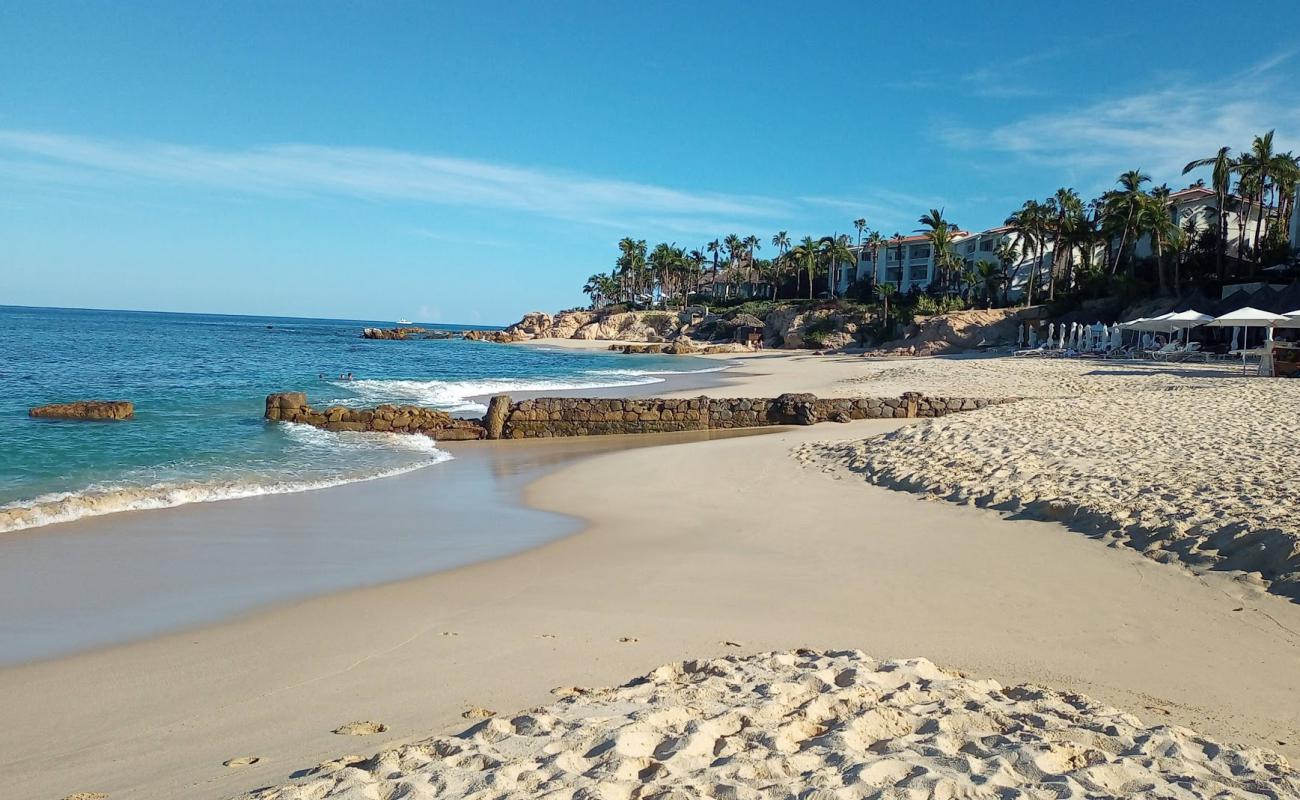 Photo de Playa Palmilla avec sable fin et lumineux de surface