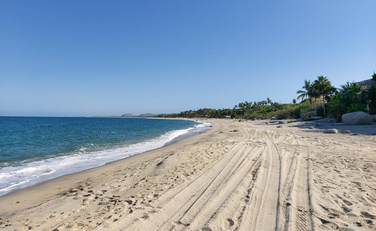 Photo de Playa buena vista avec sable fin et lumineux de surface