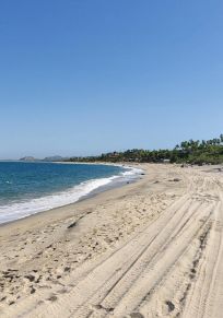 Buenavista